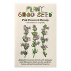 Pink Flowered Hyssop