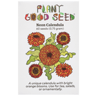 Neon Calendula