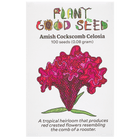 Amish Cockscomb Celosia