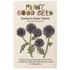 Southern Globe Thistle