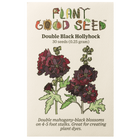 Double Black Hollyhock