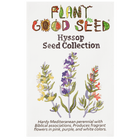 Hyssop Seed Collection - 3 packets