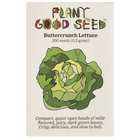 Buttercrunch Lettuce