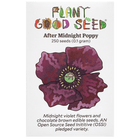 After Midnight Poppy