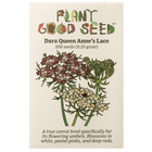 Dara Queen Anne's Lace