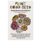 Roggli Riesen Strawflower