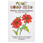 Tithonia / Mexican Sunflower