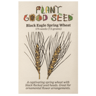 Black Eagle Spring Wheat