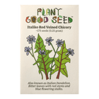 Italiko Red Veined Chicory