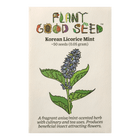 Korean Licorice Mint