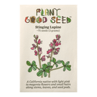 Stinging Lupine Flower