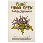 Bee Balm / Wild Bergamot