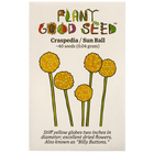 Craspedia / Sun Ball / Billy Buttons Flower