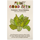 Common / Great Mullein