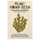 Dense Flowered Mullein