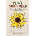 Lemon Queen Sunflower