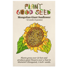 Mongolian Giant Sunflower