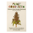 Chinese Giant Orange Amaranth