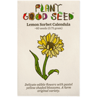Lemon Sorbet Calendula