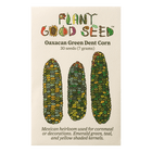 Oaxacan Green Dent Corn