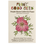 Purple Gleam California Poppy