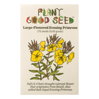 Large Flowered Evening Primrose