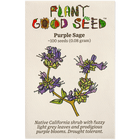 Purple Sage
