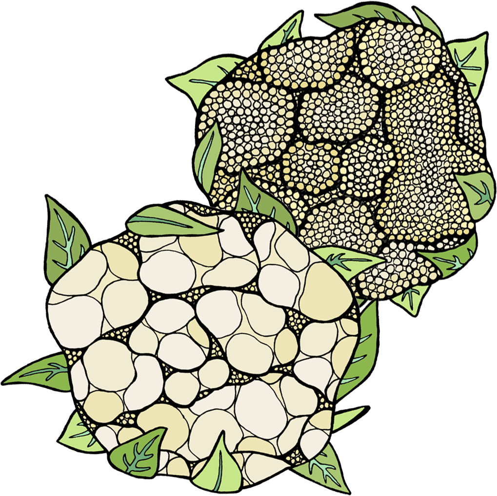 Cauliflower