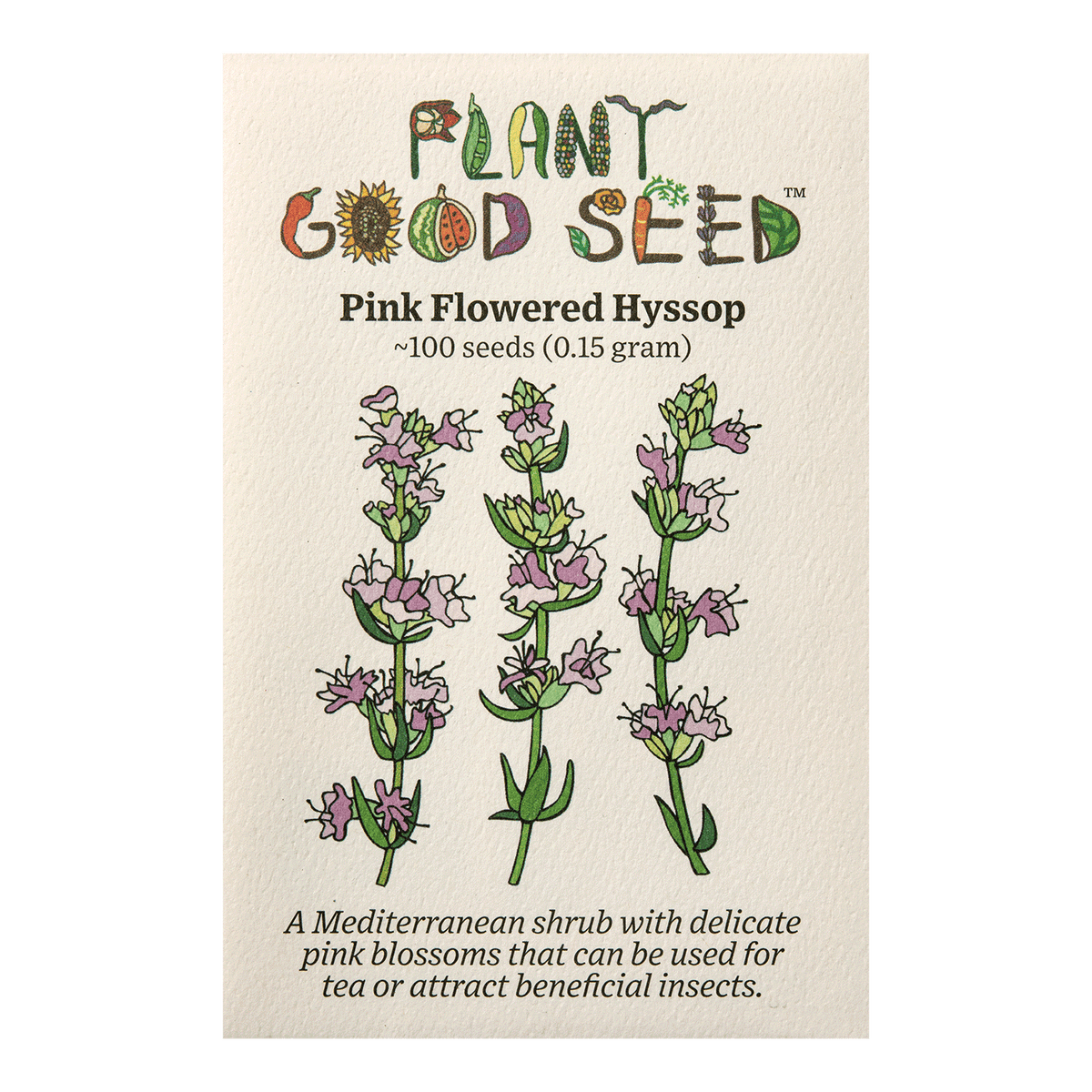 Pink Flowered Hyssop