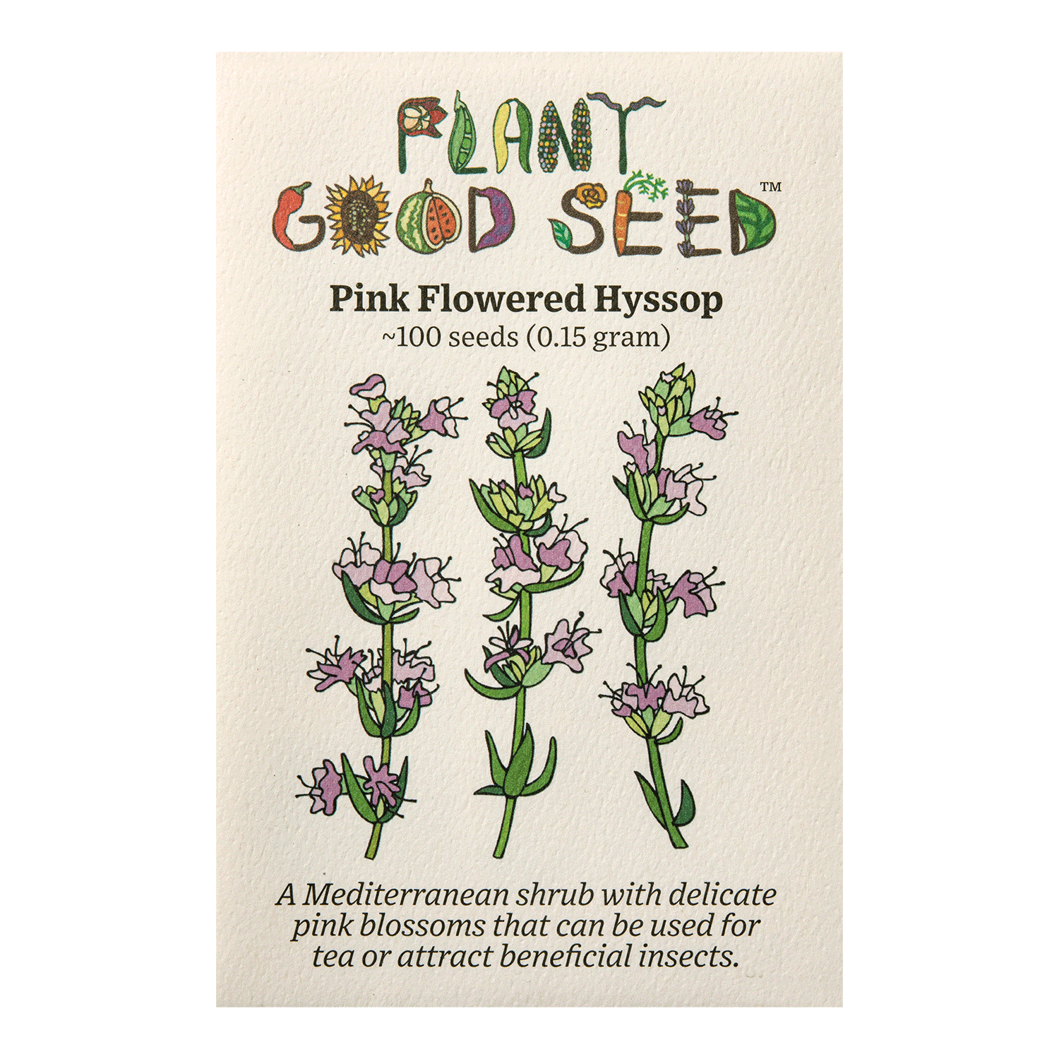 Pink Flowered Hyssop