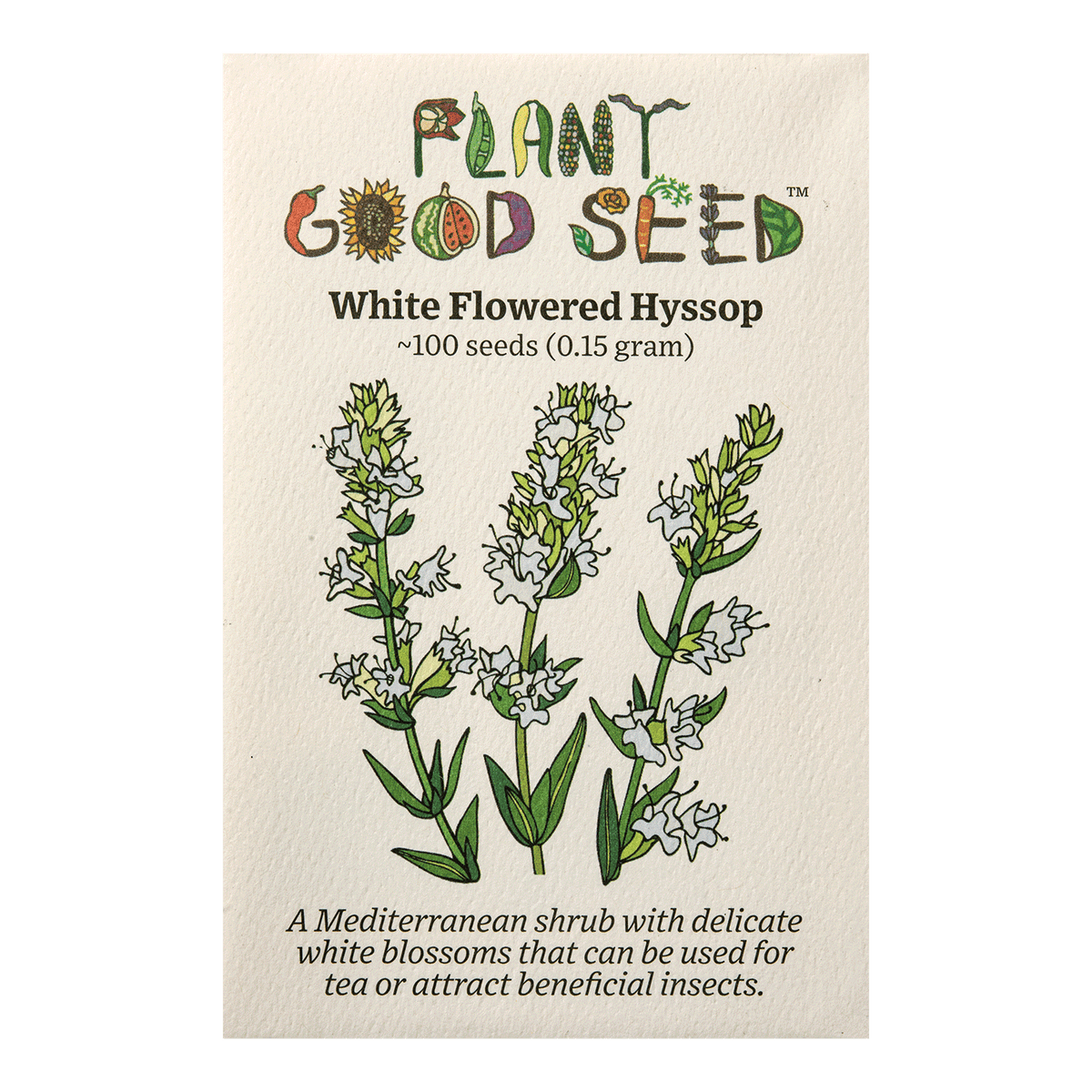 White Flowered Hyssop