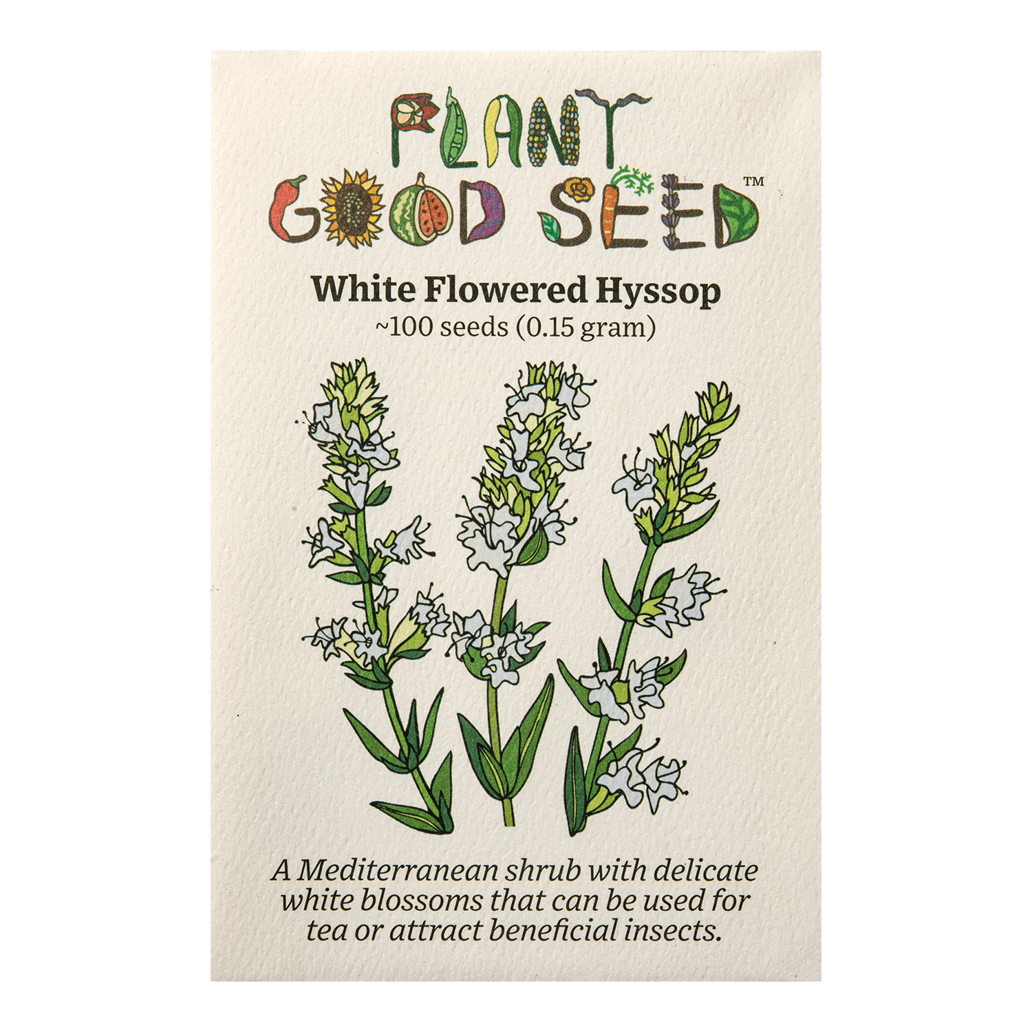 White Flowered Hyssop