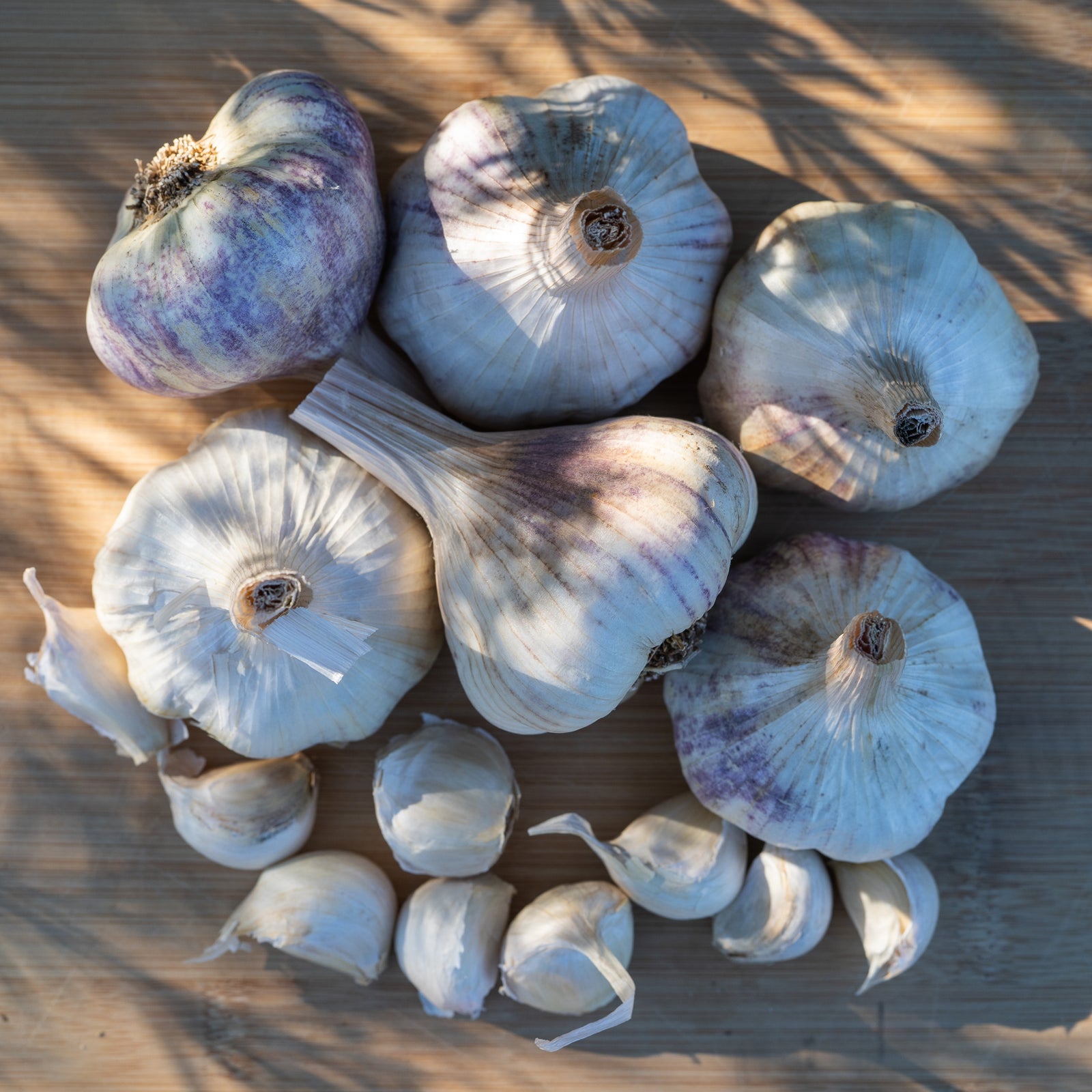 Applegate Artichoke Garlic