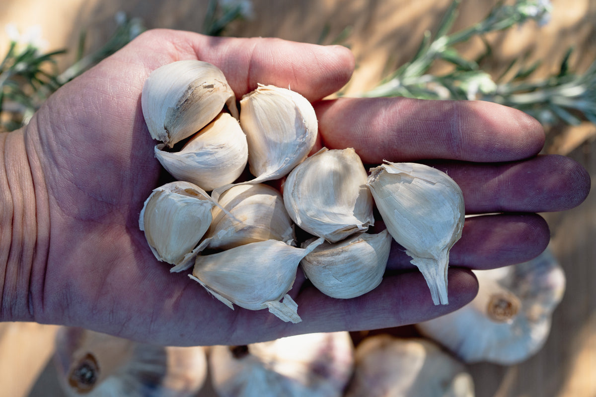 Applegate Artichoke Garlic