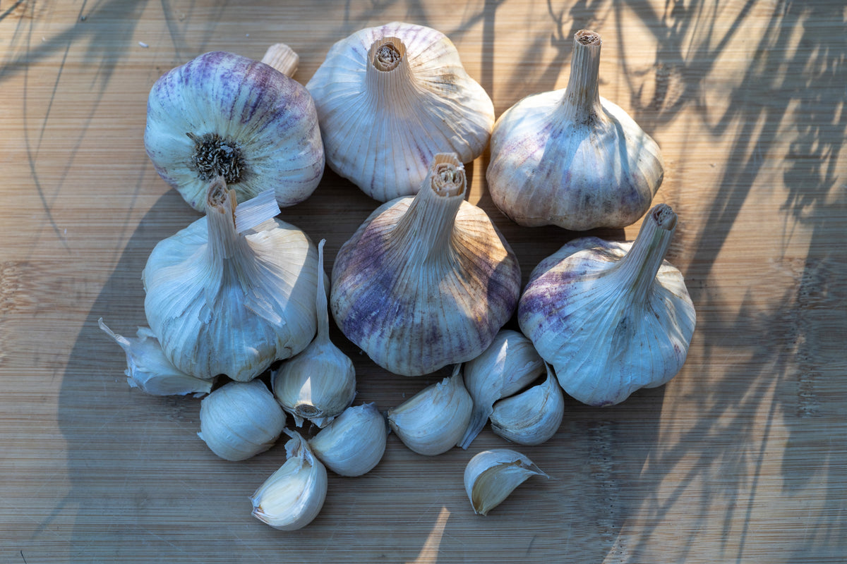 Applegate Artichoke Garlic