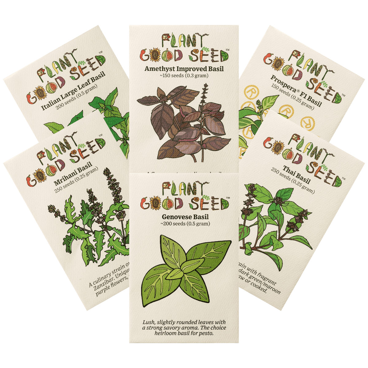 Culinary Basil Seed Collection - 6 packets