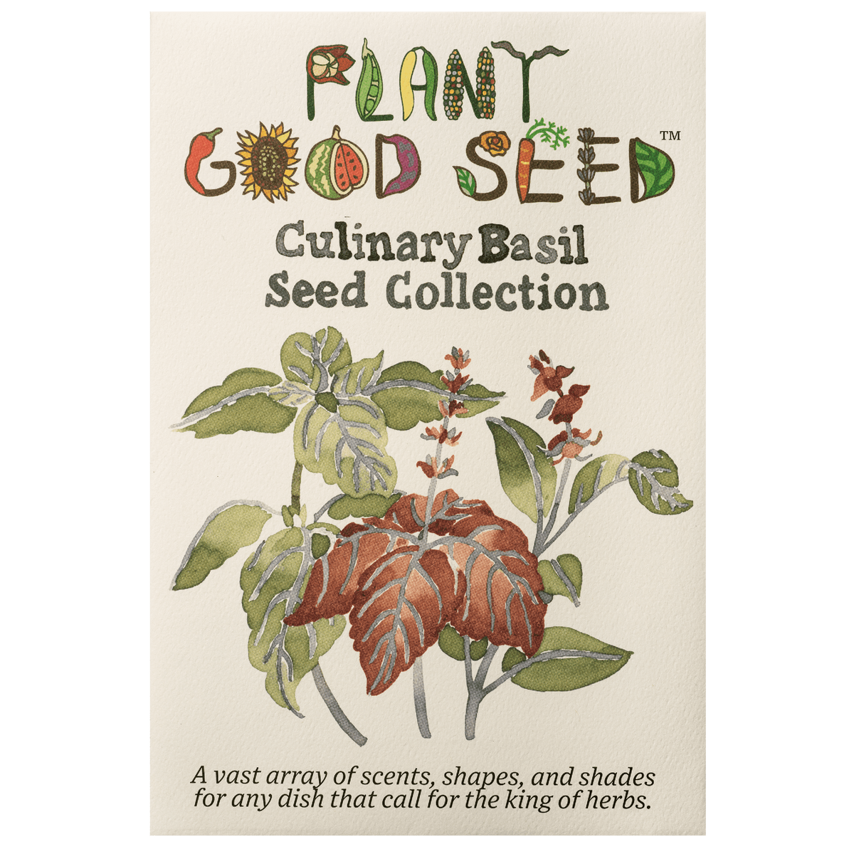 Culinary Basil Seed Collection - 6 packets