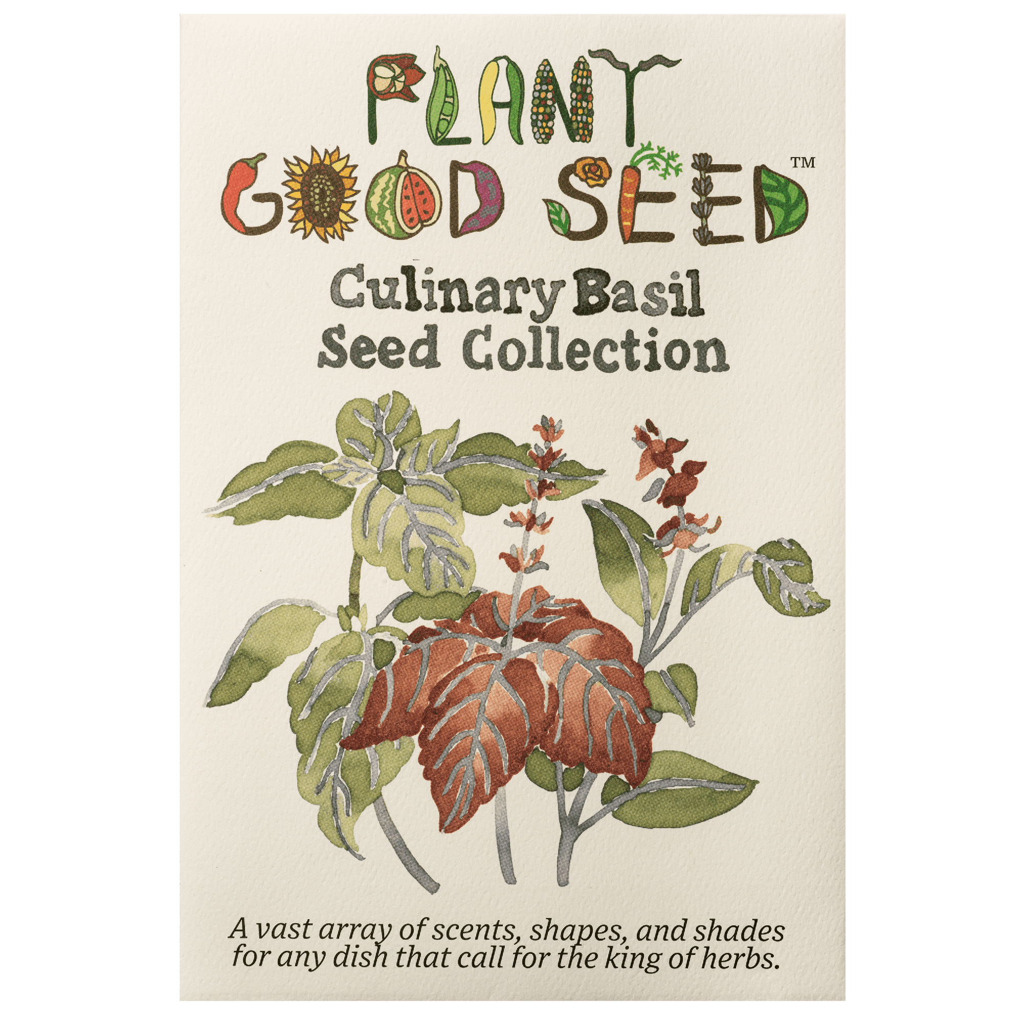 Culinary Basil Seed Collection