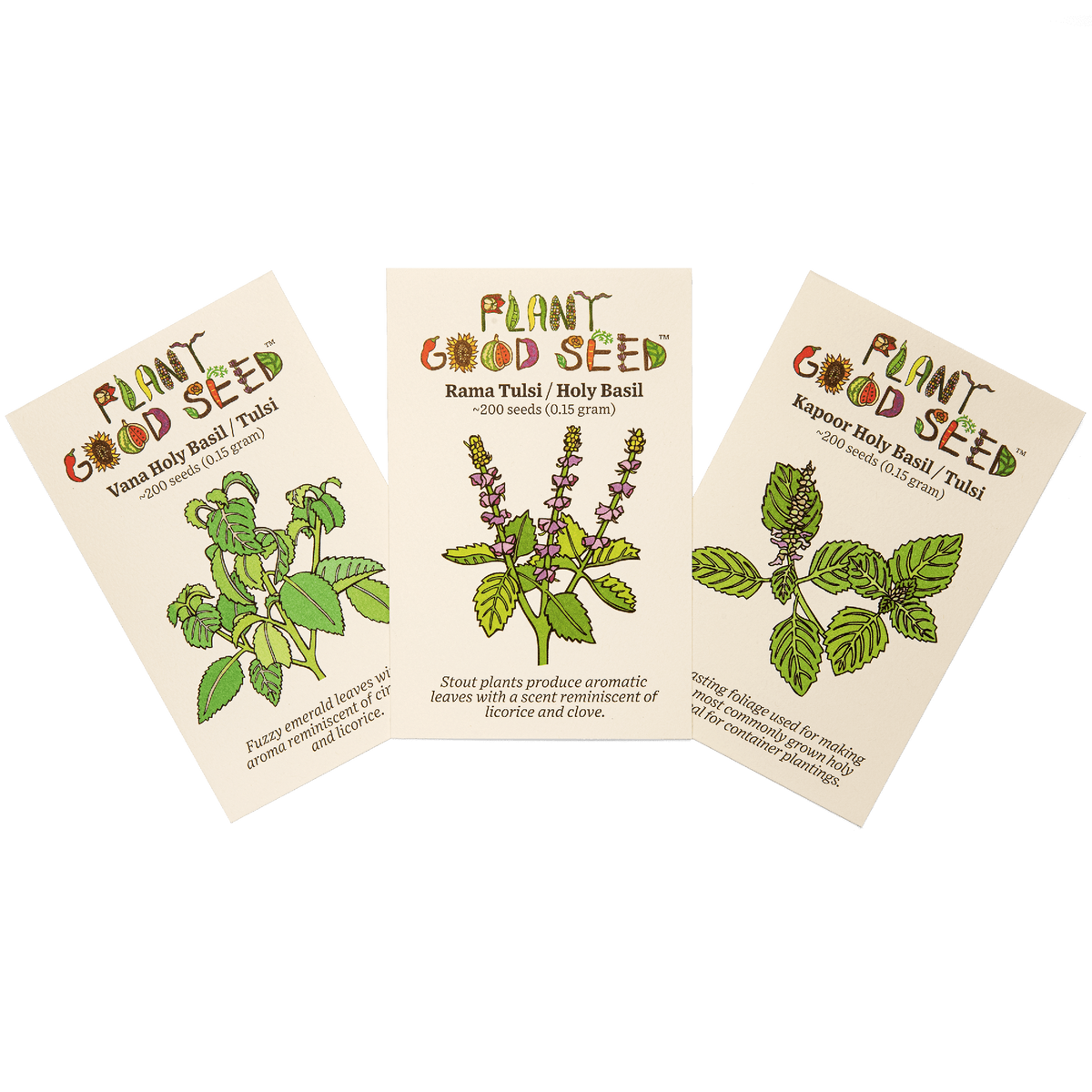 Holy Basil Seed Collection - 3 packets
