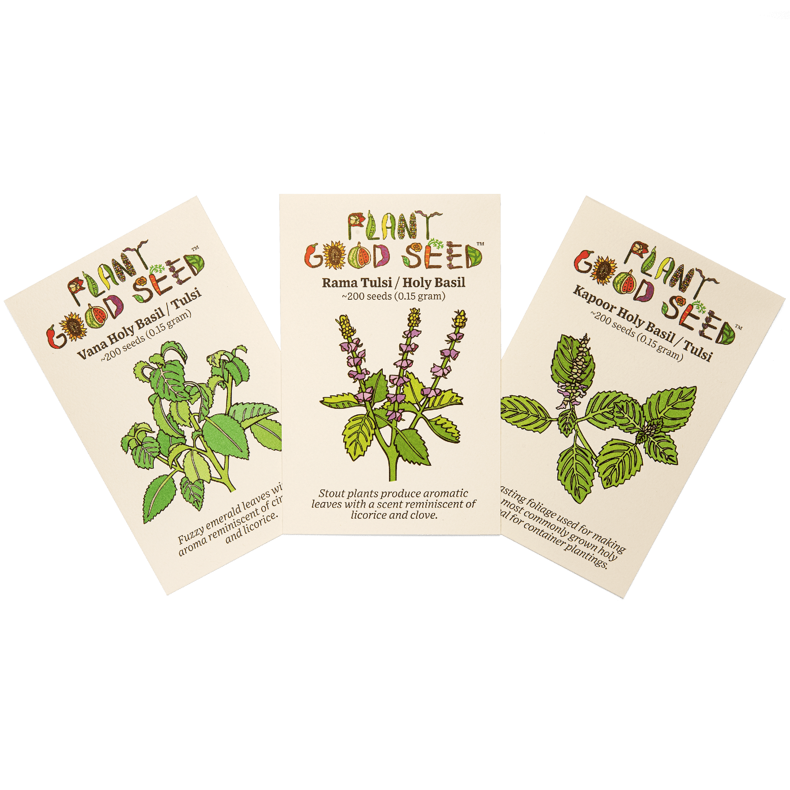 Holy Basil Seed Collection - 3 packets