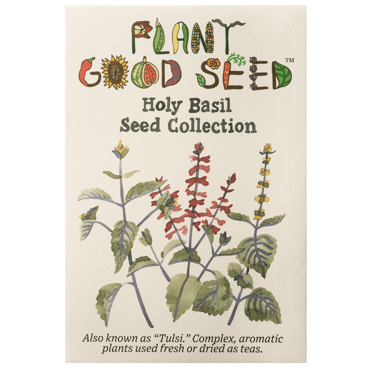 Holy Basil Seed Collection - The Plant Good Seed Company