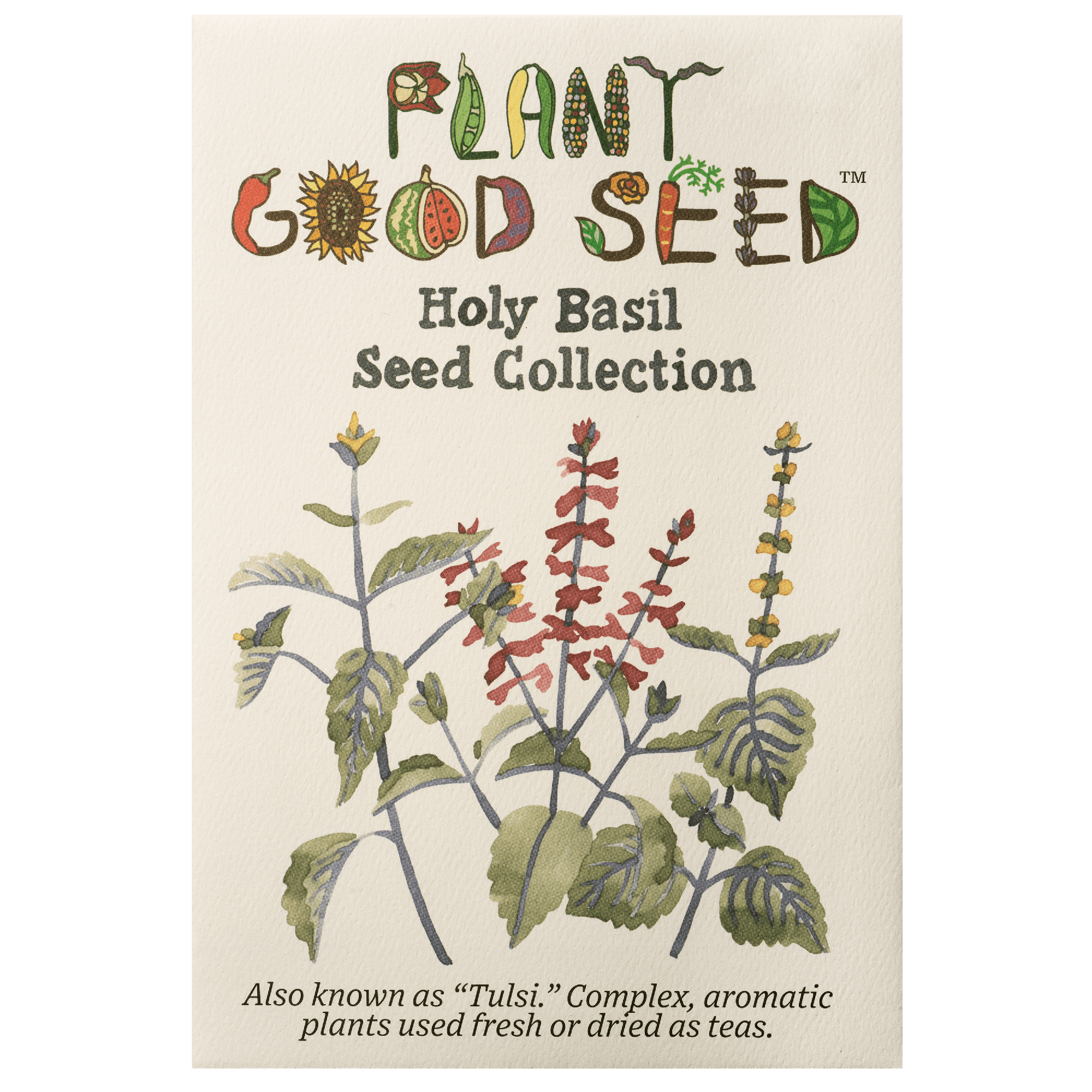 Holy Basil Seed Collection