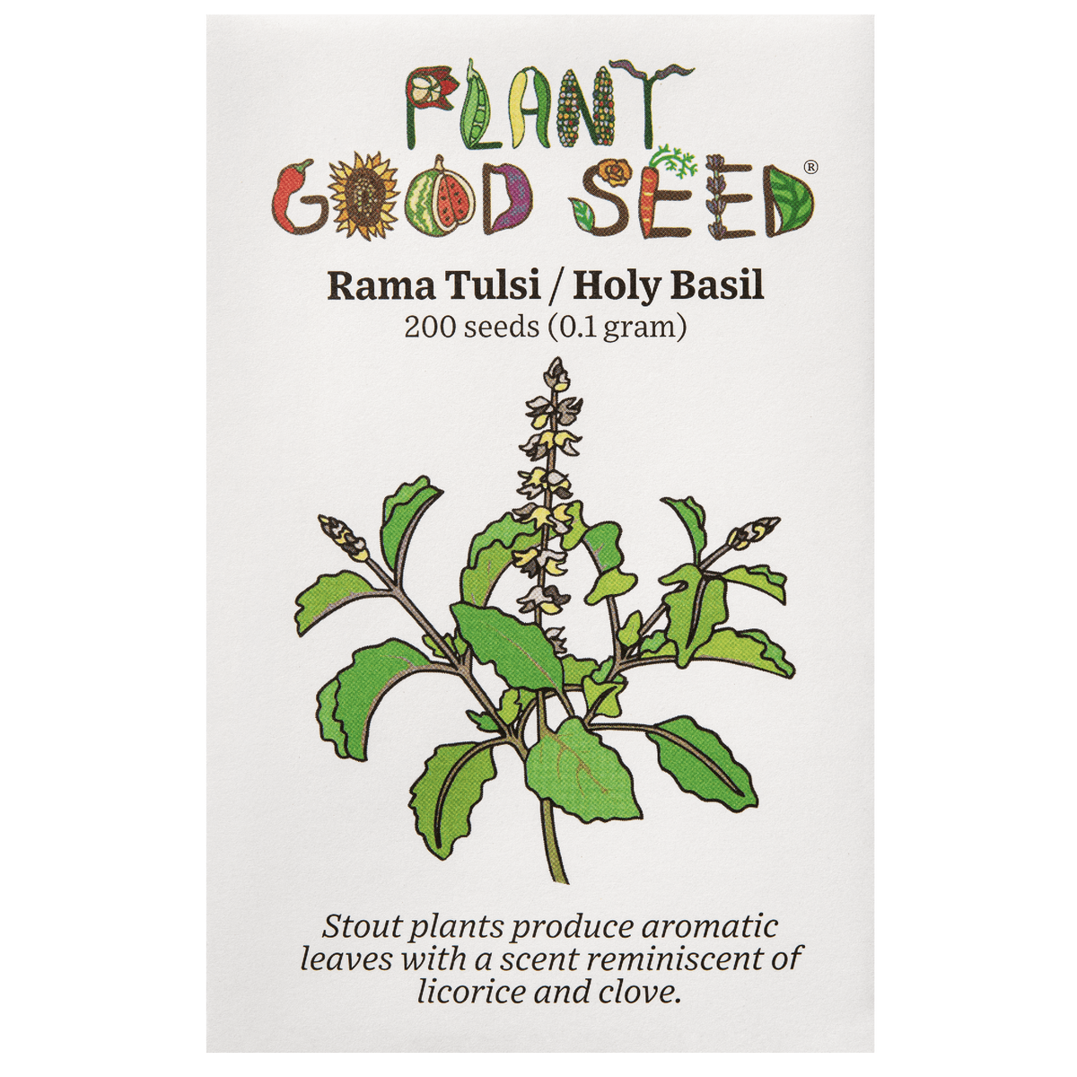 Rama Holy Basil / Tulsi