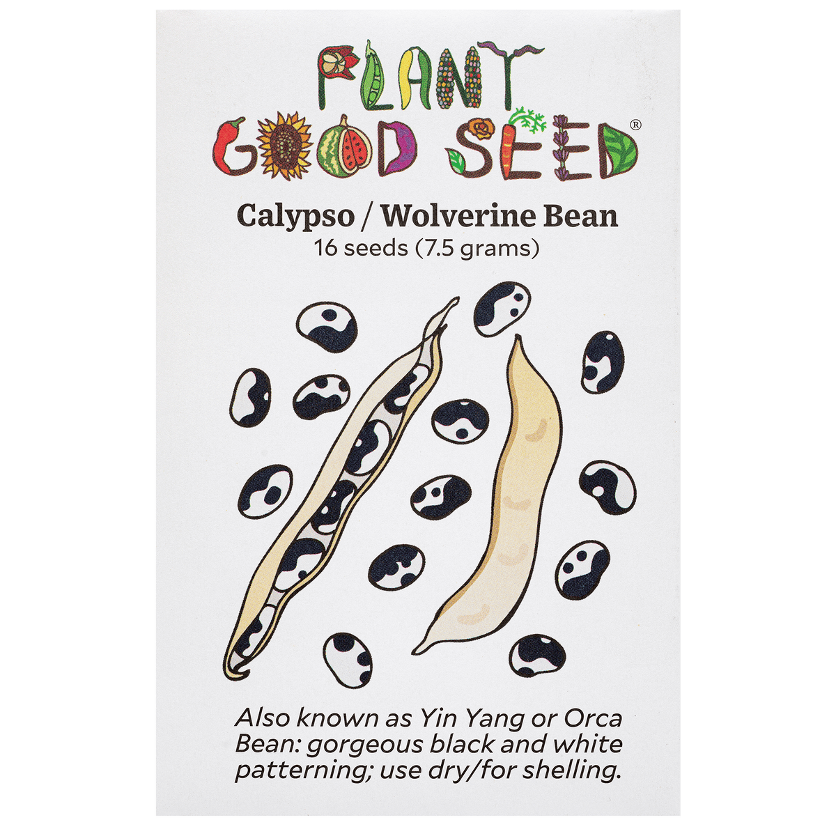 Calypso / Wolverine Bean