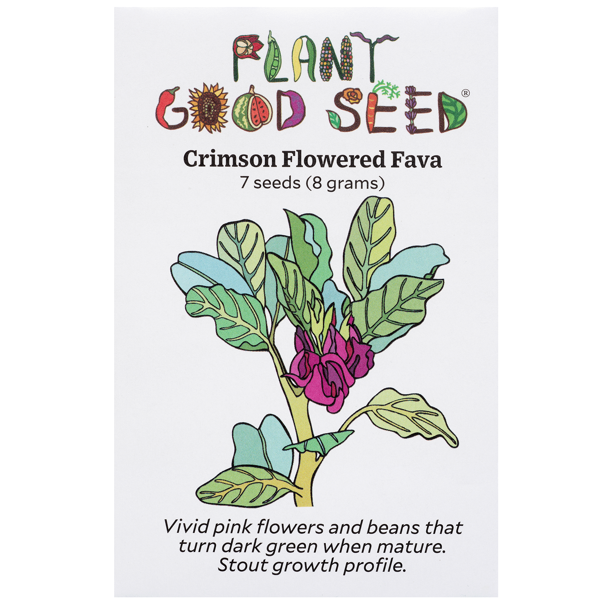 Crimson Flowered Fava