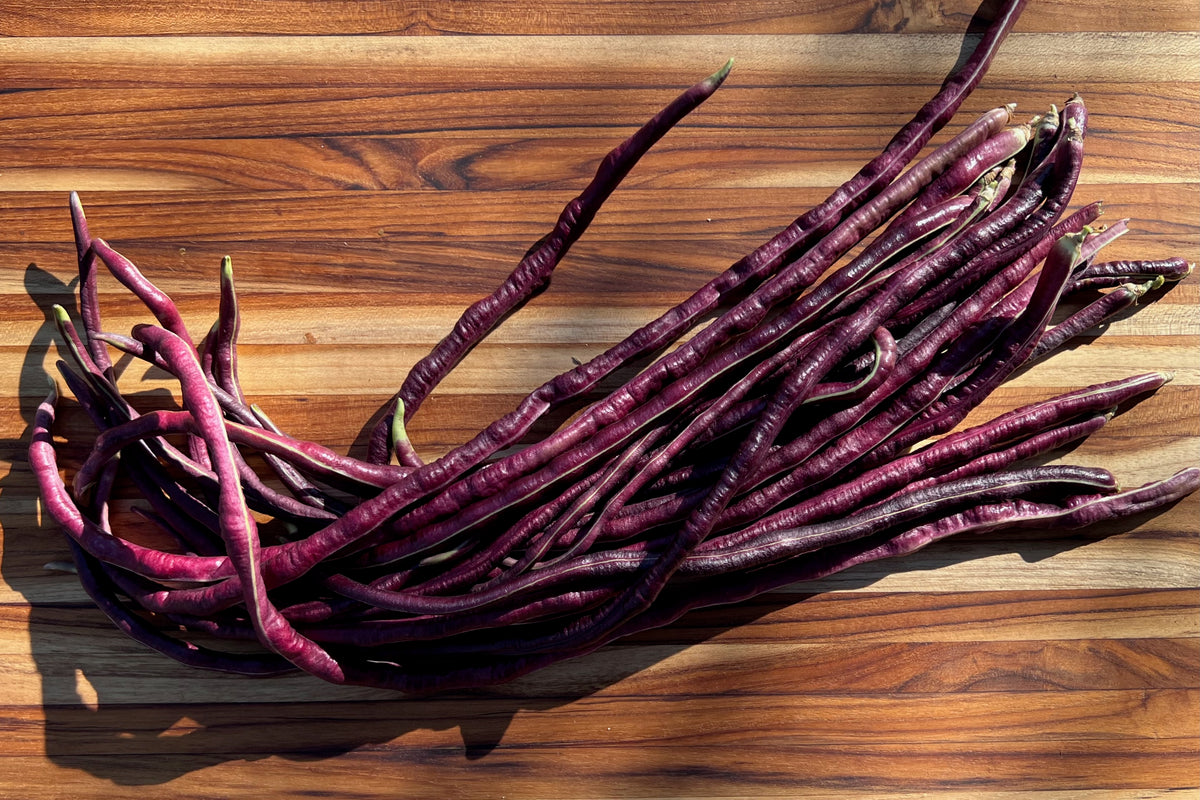 Chinese Red Noodle Bean