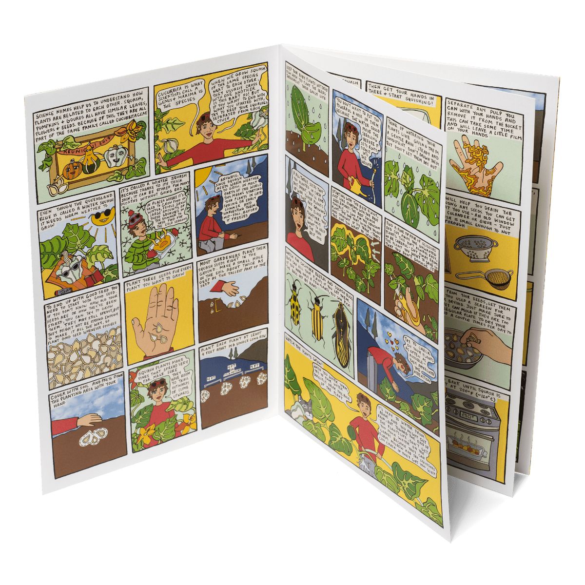 Adventures in Seed Saving #1: Squash