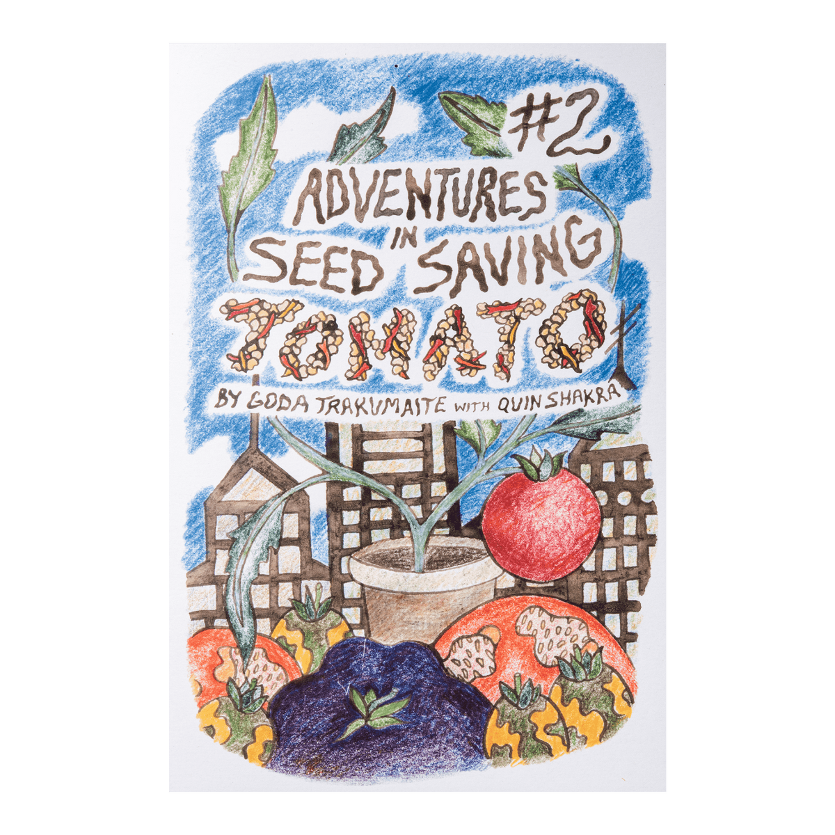 Adventures in Seed Saving #2: Tomato