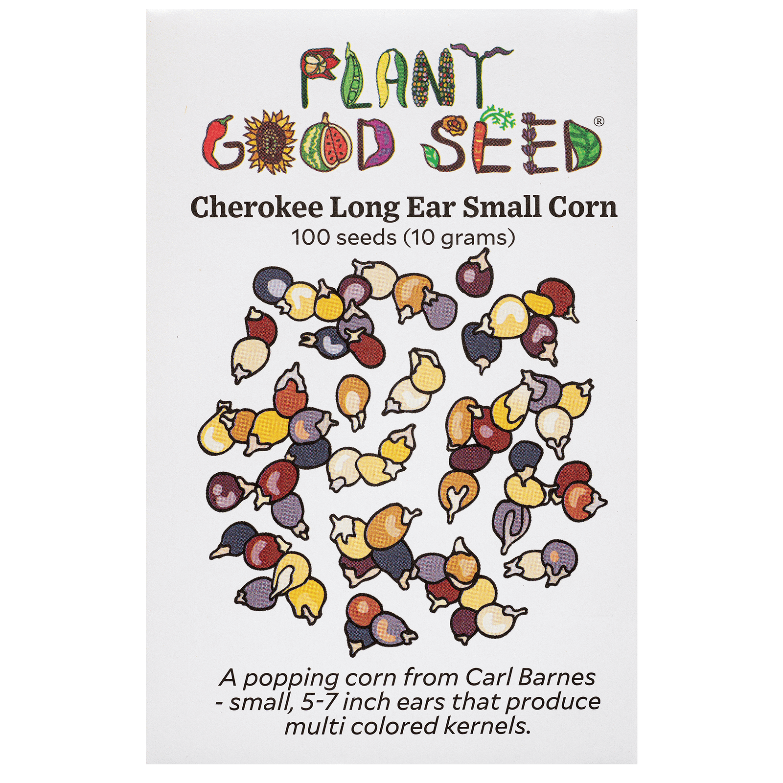 Cherokee Long Ear Small Corn