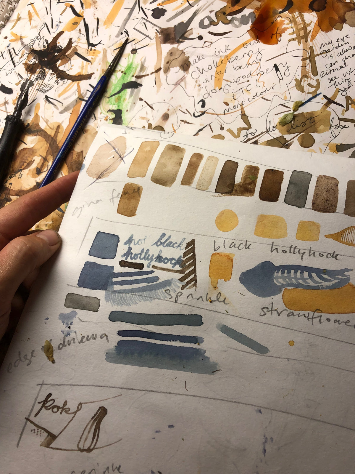 Double Black Hollyhock